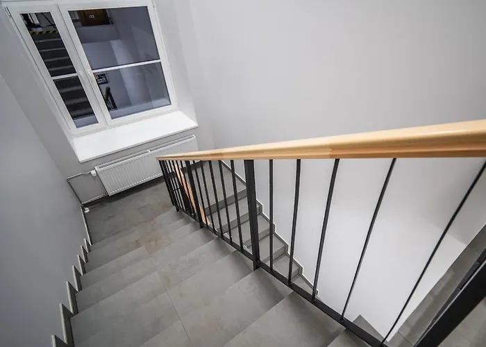 Airport-bus - 13 North - Comfort 7 * 탈린